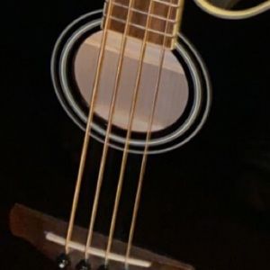 Meet your Posher, Fernando